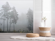 Фотошпалери Туманний ліс - 2