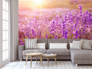 Фотообои поле цветочков - 3