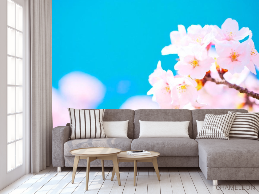 Фотообои Белые цветы в небе - 3