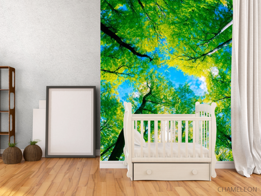 Фотообои Верхушки деревьев - 2