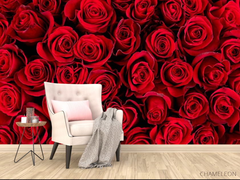 Фотообои red roses - 4