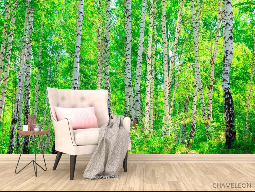 Фотообои Тень, березы - 4