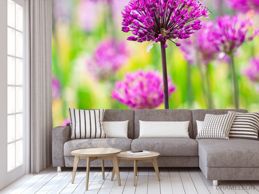 Фотообои Фиолетовые полевые цветы - 3