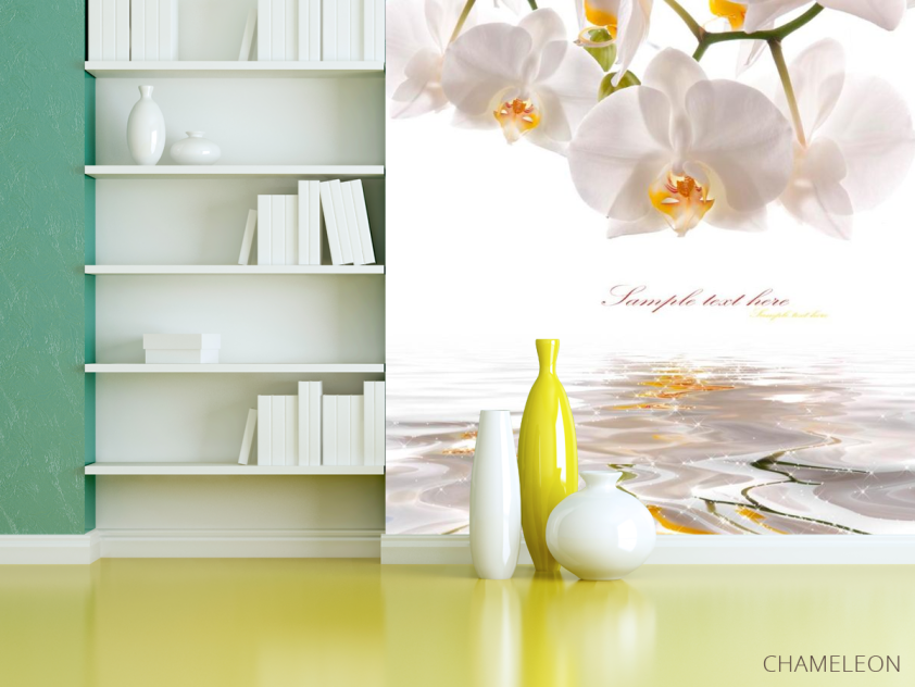 Фотошпалери Орхідеї білосніжні - 3