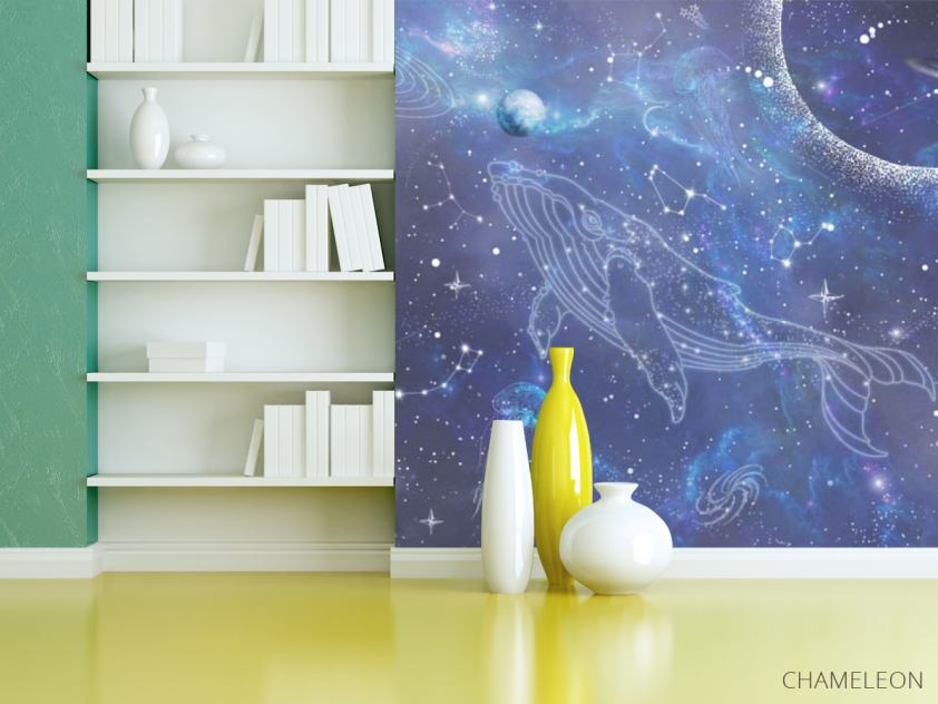 Фотошпалери Кіт і зведное небо - 3