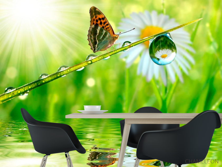 Фотошпалери Метелик над водою - 1