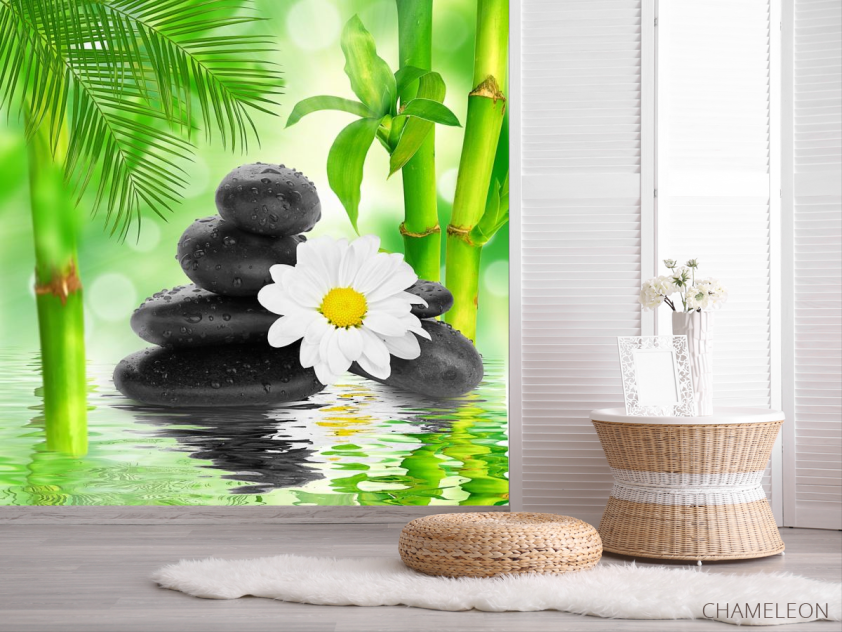 Фотообои ромашка на камнях - 2