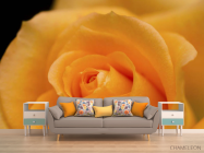 Фотообои оранжевая роза - 1