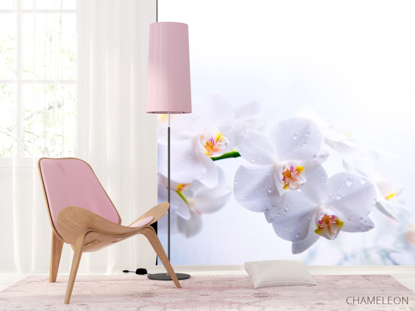 Фотообои Цветки белоснежные - 4