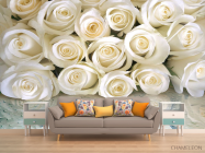 Фотообои Белые розы с росой - 1