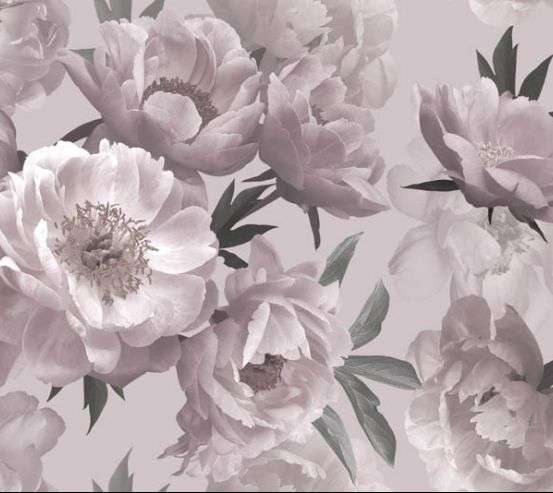 Фотообои Пудровые цветы Фотообои Пудровые цветы 30554
