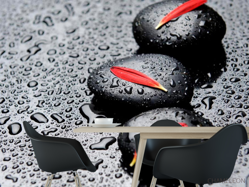 Фотошпалери Пелюстки, камені, краплі - 1