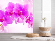 Фотошпалери Орхідеї - 2