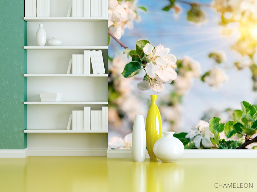 Фотошпалери Квіти під сонцем - 3