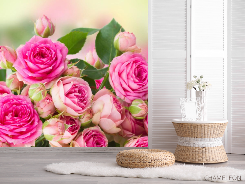 Фотошпалери чайна троянда - 2