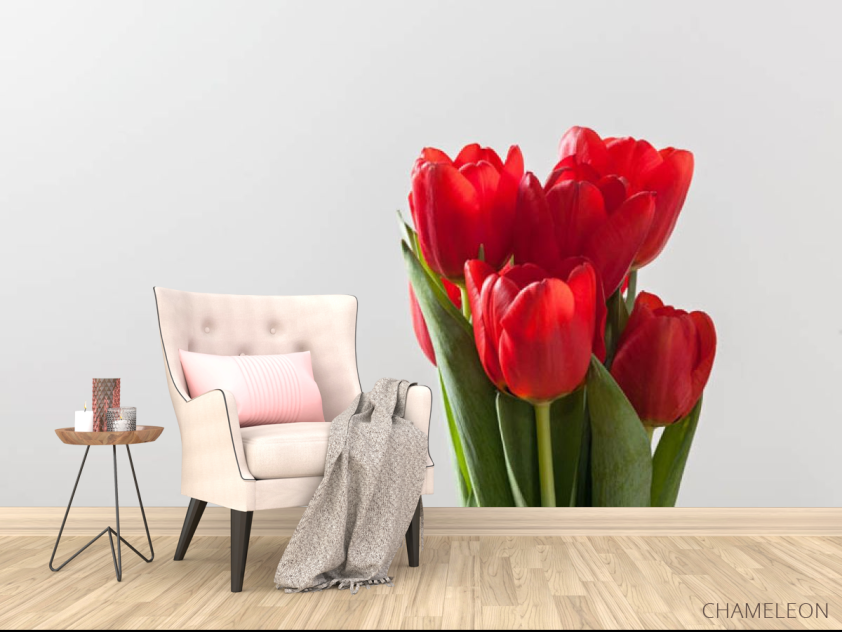 Фотообои красные тюлипаны - 4