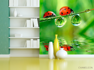 Фотошпалери Сонечка - 3