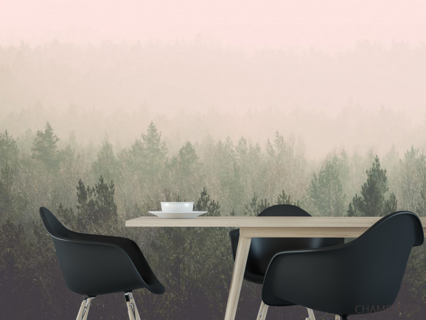 Фотошпалери ліс і рожевий туман - 1