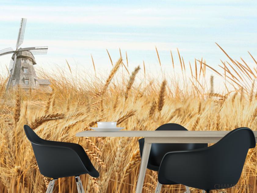 Фотошпалери Поле пшениці - 1