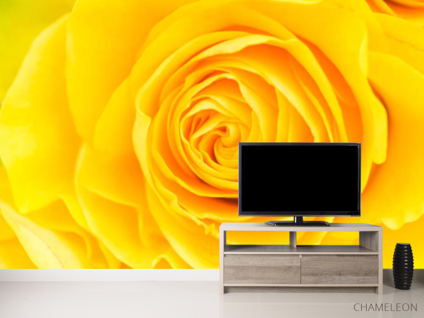 Фотообои Желтая роза крупным планом - 2