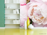 Фотошпалери ніжні біло-рожеві півонії - 3