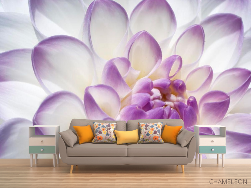 Фотообои Лепестки пиона бело-фиолетовые - 1