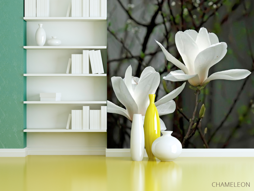 Фотошпалери Білосніжні квітки - 3