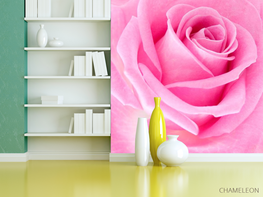 Фотошпалери Макро-зйомка рожевої троянди - 3