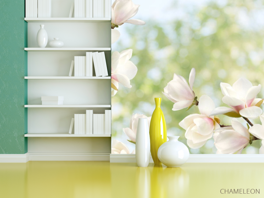 Фотошпалери Квіти магнолії - 3