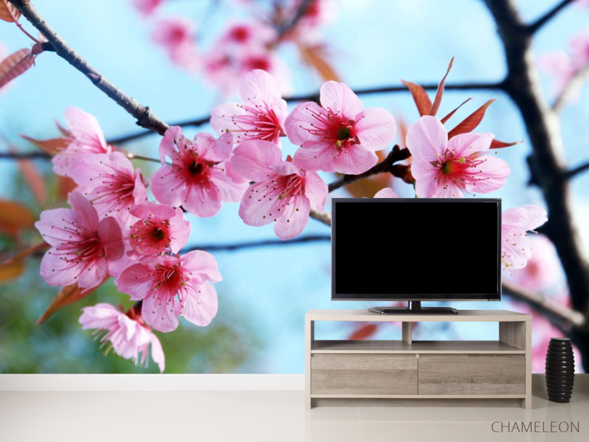 Фотообои Цветущая ветка - 2