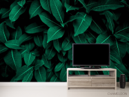 Фотообои Зелёные листья - 2