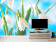 Фотообои подснежники - 2