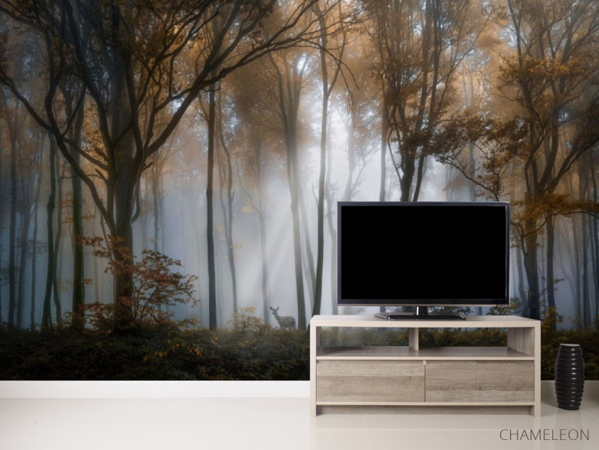 Фотообои Туманные деревья в лесу - 2