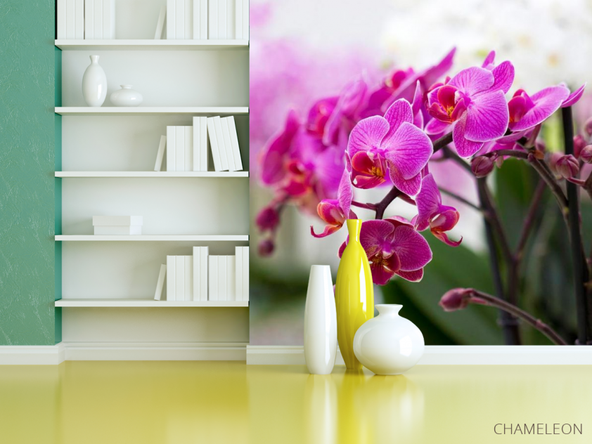 Фотообои Орхидеи соцветие - 3