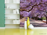 Фотошпалери Колір, дорога - 3