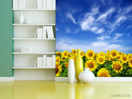 Фотошпалери Соняшники і небо - 3