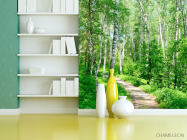 Фотошпалери Ліс, берізки - 3