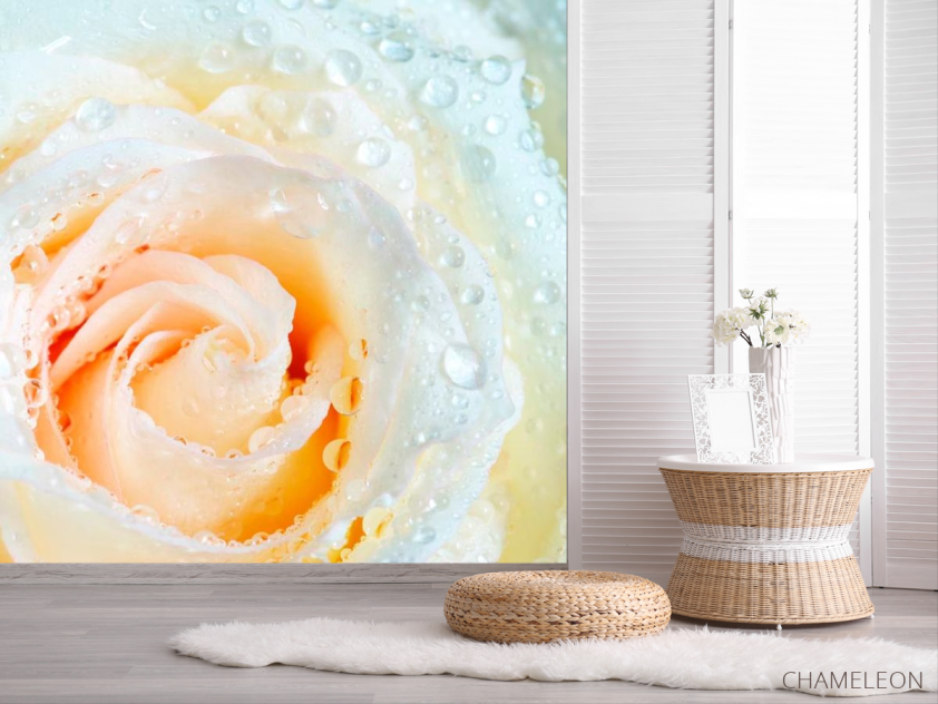 Фотошпалери Роза біло-бежева - 2