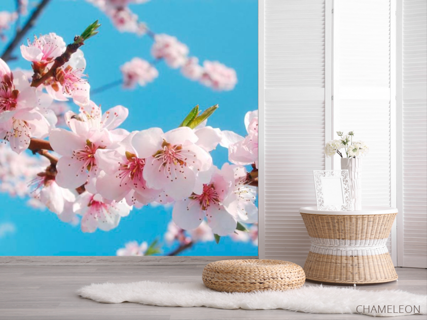 Фотошпалери Квіти персика - 2