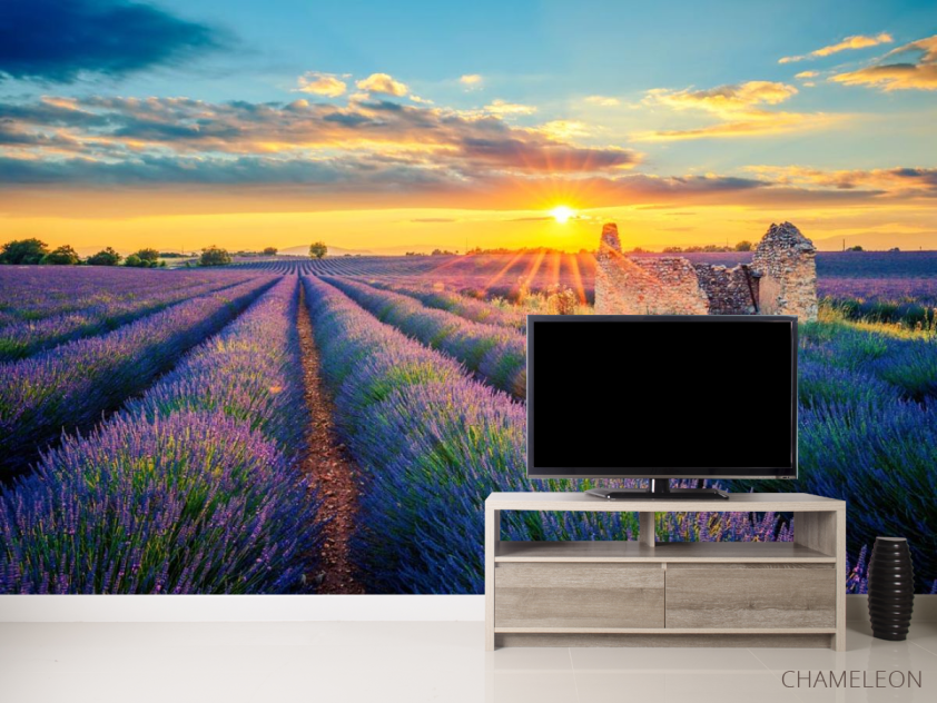 Фотообои разрушеный домик в лавандовом поле - 2