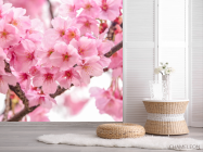Фотошпалери дві гілки сакури - 2