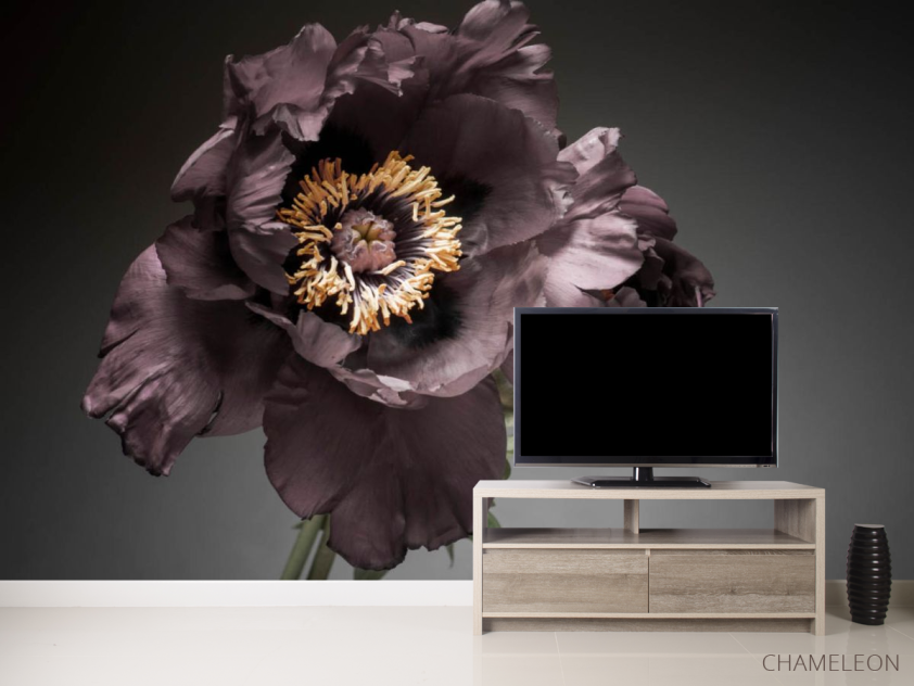 Фотообои Винтажный тёмный цветок - 2