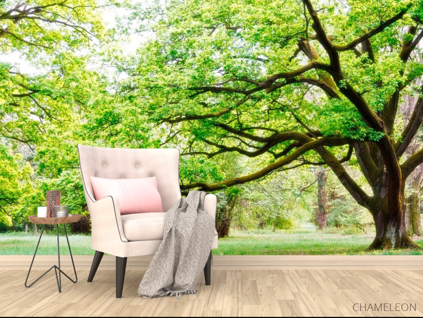 Фотообои Много веток, дерево - 4