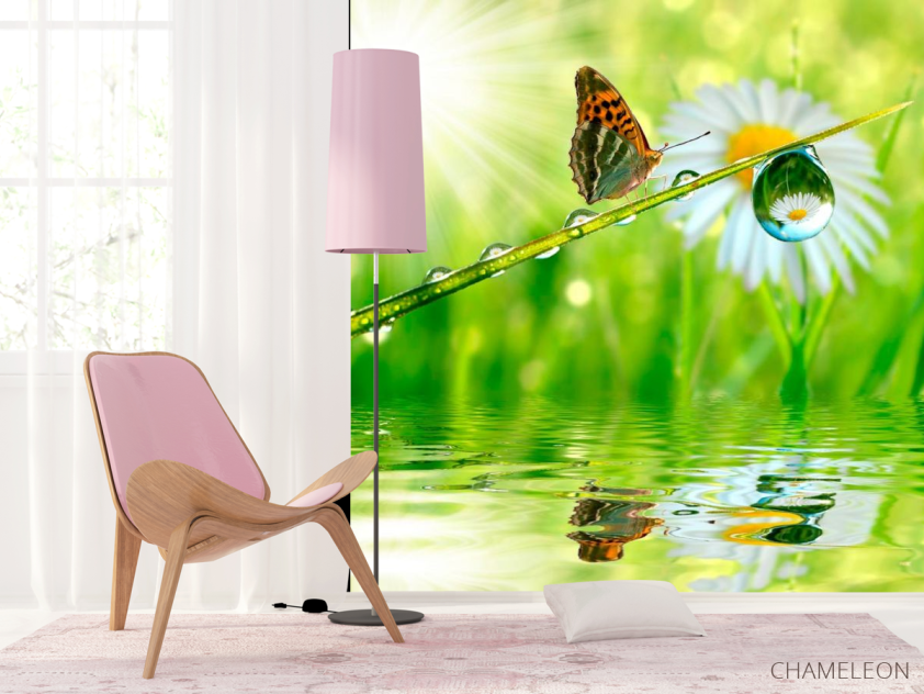 Фотошпалери Метелик над водою - 4