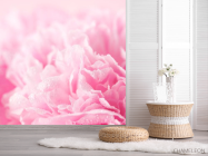 Фотошпалери Рожеві пелюстки - 2