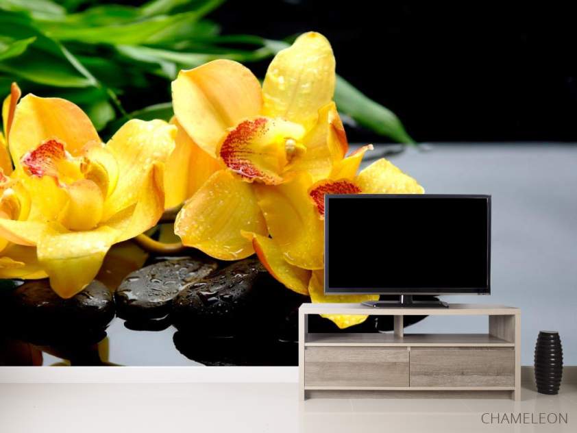 Фотообои Орхидея - 2