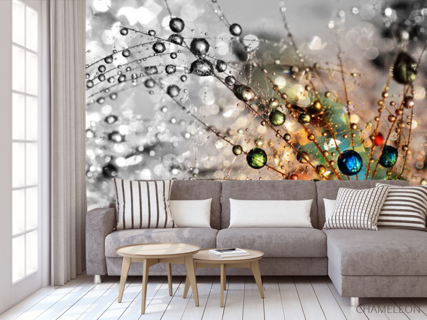 Фотообои Одуванчик с росой - 3