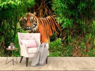 Фотообои Тигр в зарослях - 4