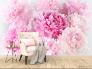 Фотообои Розовые пионы - 4