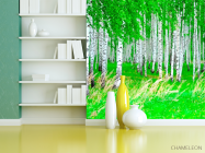 Фотошпалери Березовий гай, ліс - 3